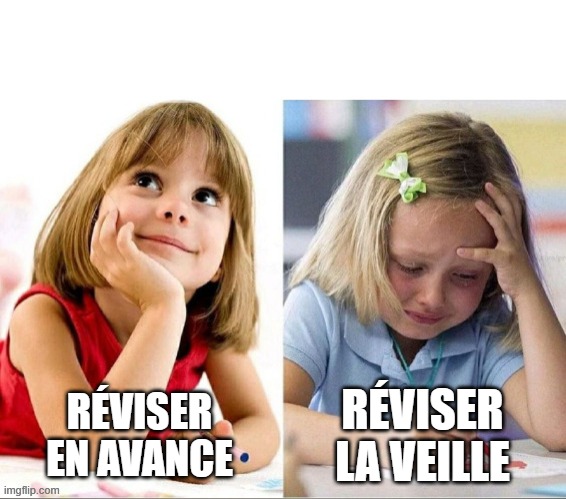 meme revisions bac